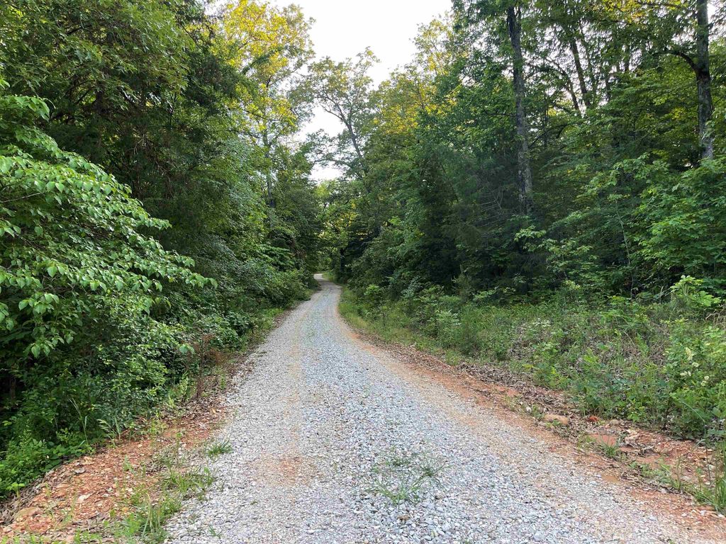 Red Ln, Calico Rock, AR 72519