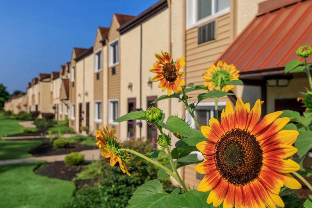 The Addison North Wales, PA Trulia