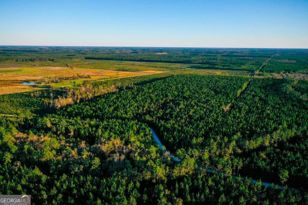 Sycamore School Rd, Millwood, GA 31552 MLS 10407691 Trulia