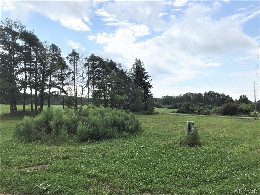 Brown St, Collins, NY 14034 Trulia