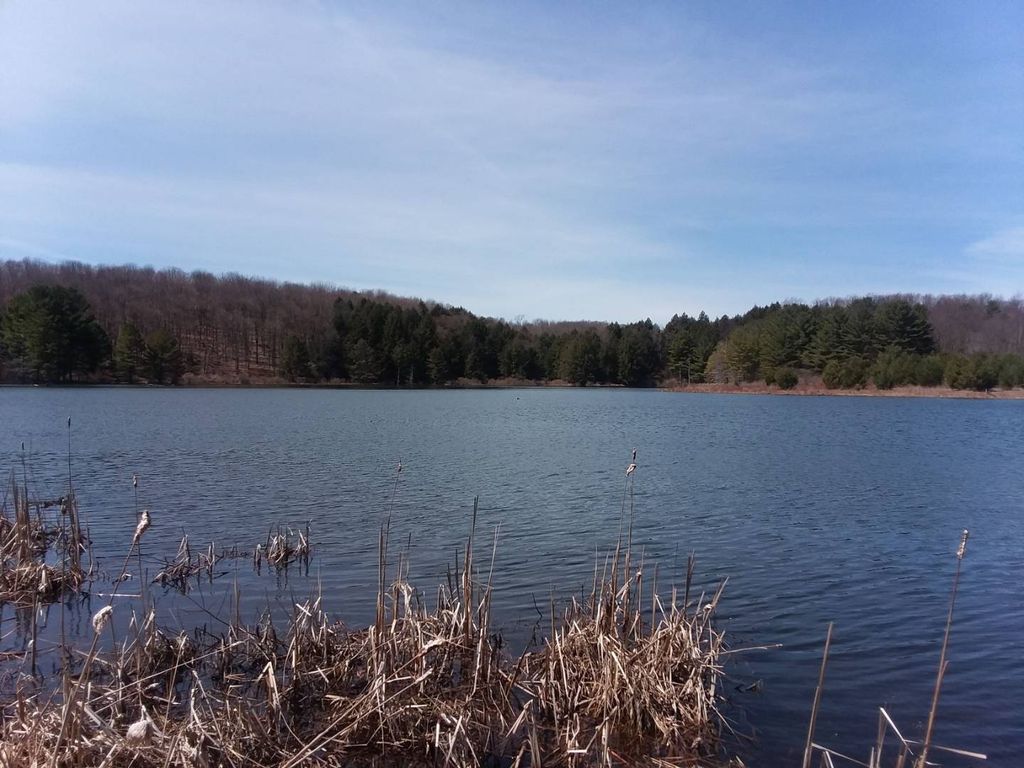 Bradley brook Rd, Eaton, NY 13334 Trulia