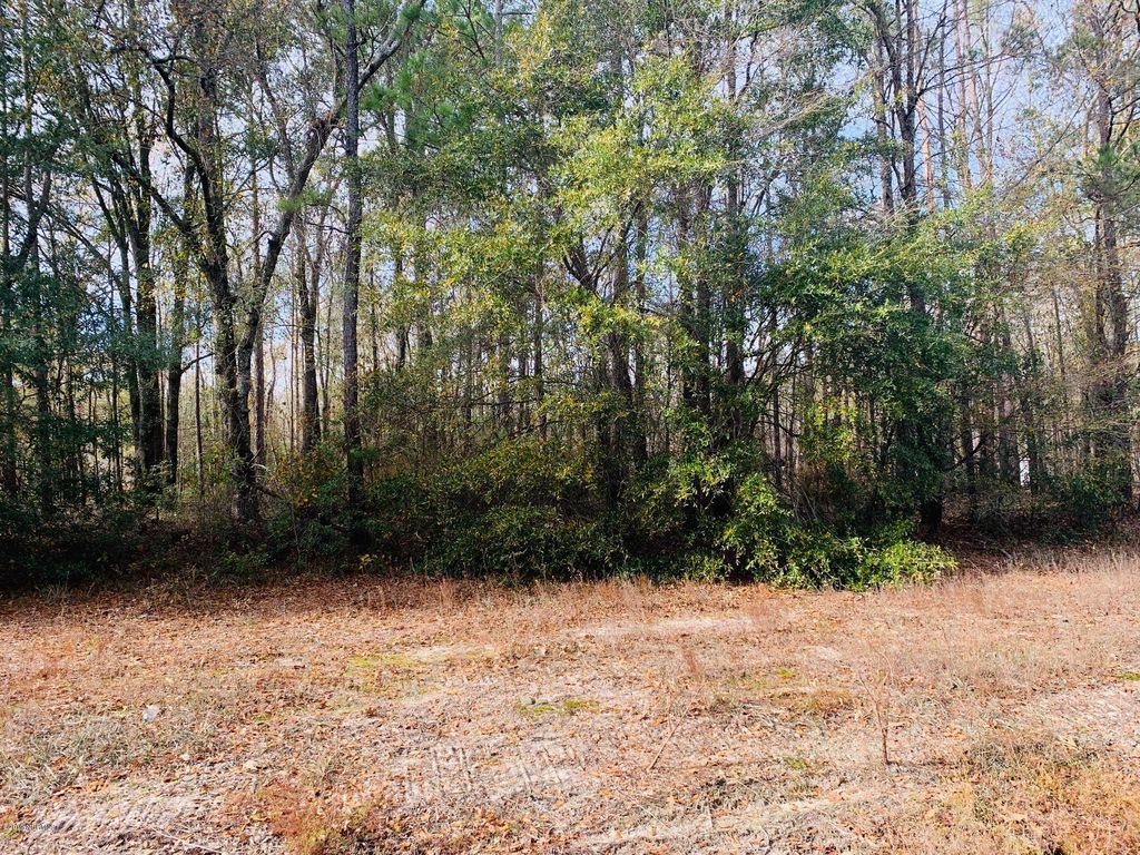 Lot 6 Ivanhoe Road, Ivanhoe, NC 28447 Trulia