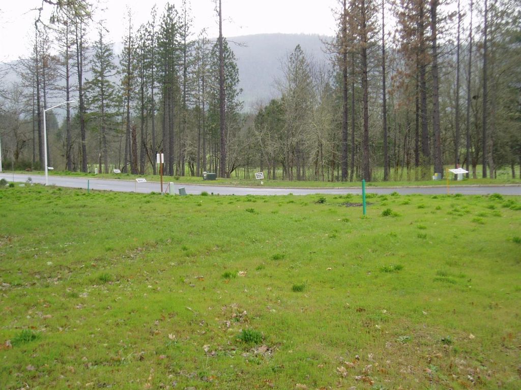 1242 Green Valley Dr, Cave Junction, OR 97523
