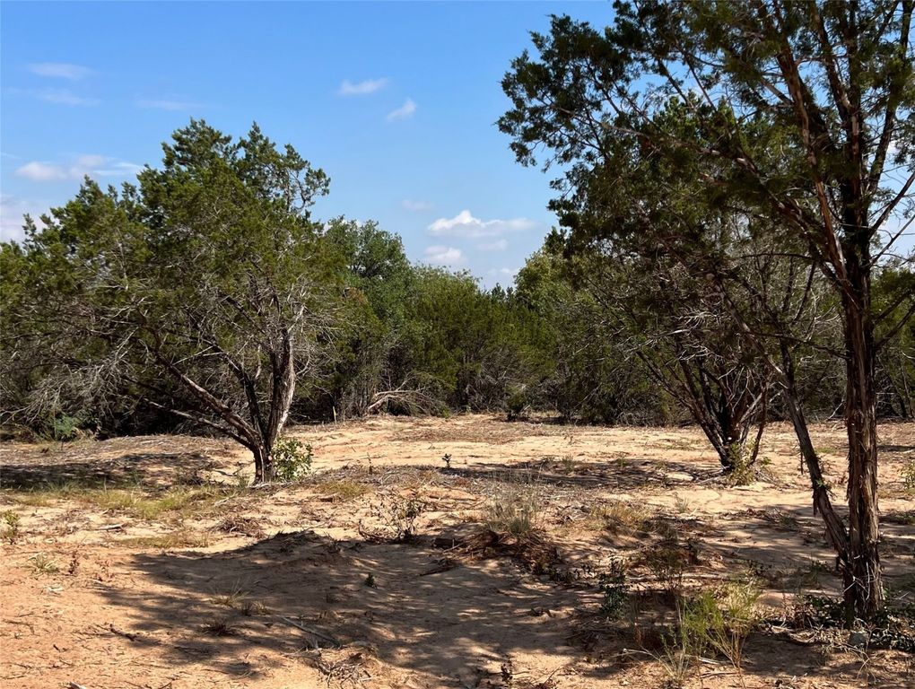 1024 Rose Ct, Nemo, TX 76070
