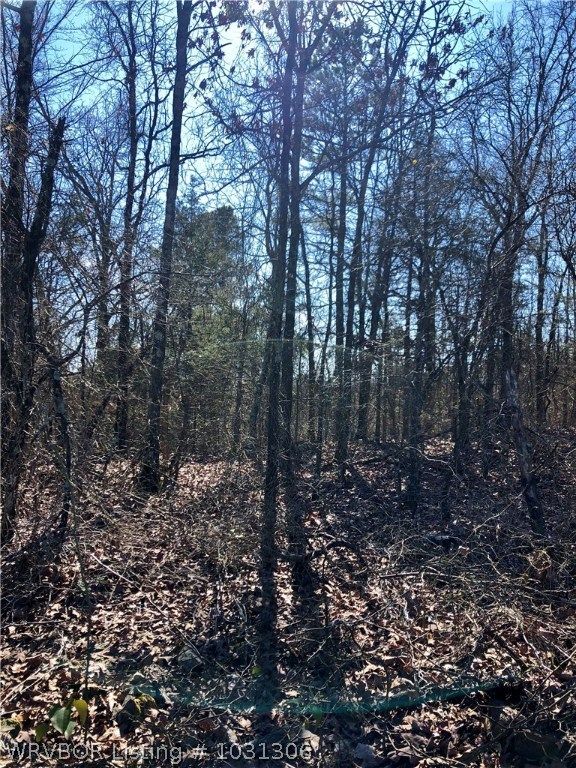 Pebblefield, Waldron, AR 72958 Trulia