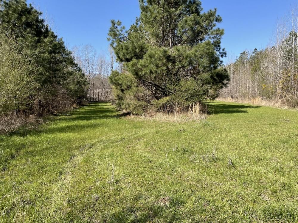 Shake Rag Rd, Sulligent, AL 35586 Trulia