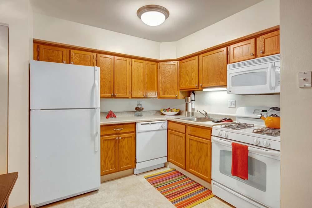 926 Congdon Ave, Elgin, IL 60120