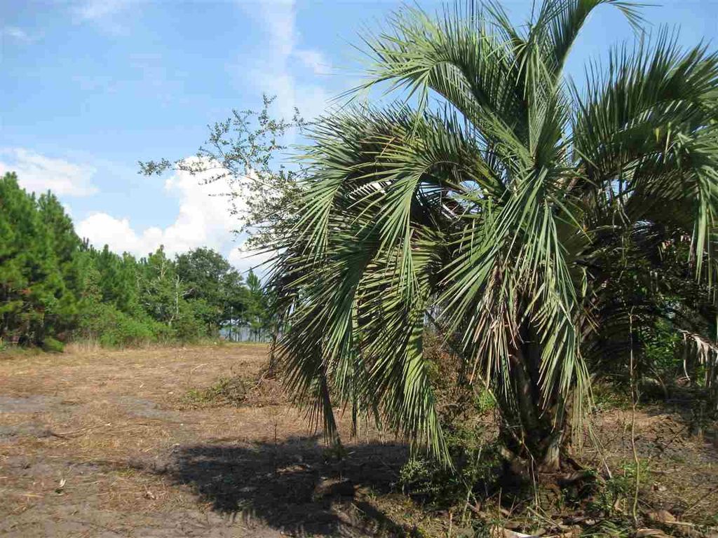 Blackwater Bay Dr, Milton, FL 32583 Trulia