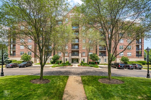 440 W Mahogany Ct #606, Palatine, IL 60067