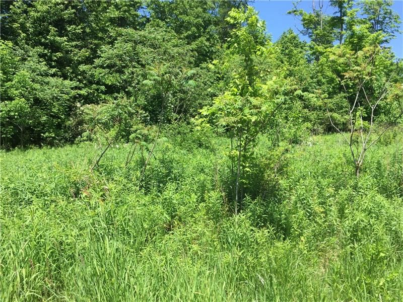 Mercer Rd, Jackson Center, PA 16133 Trulia