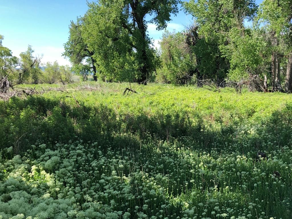 Nelson Island Ln, Cascade, MT 59421 Trulia