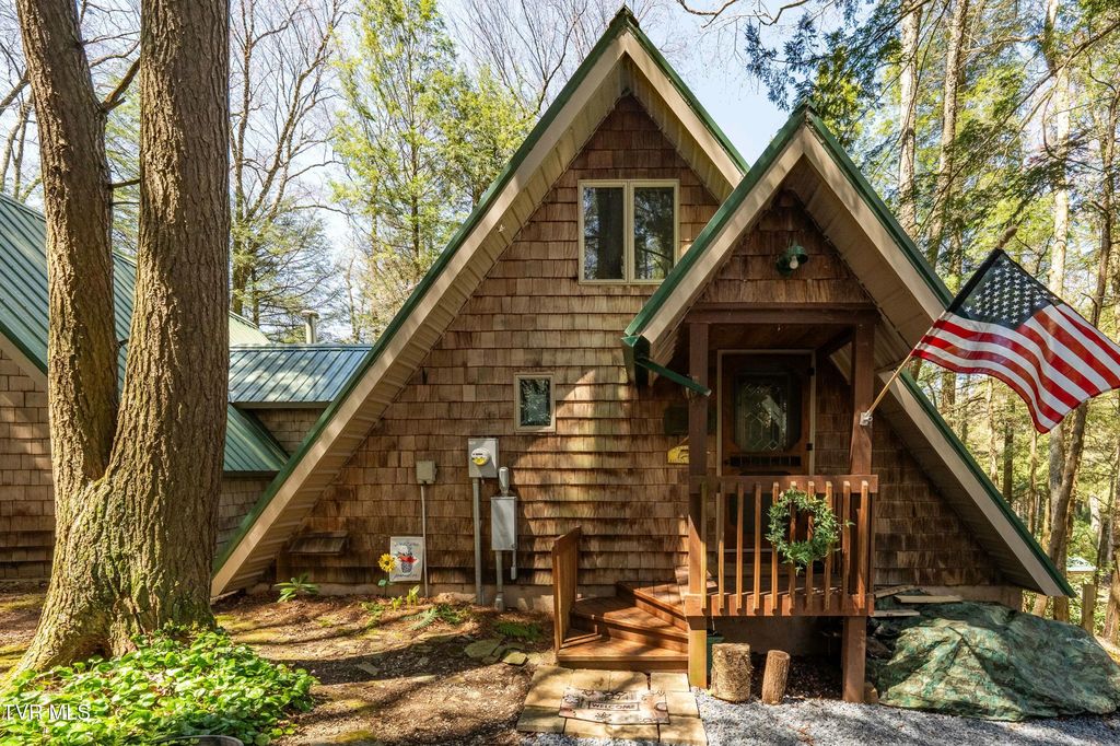 238 Ripshin Lake Rd, Roan Mountain, TN 37687