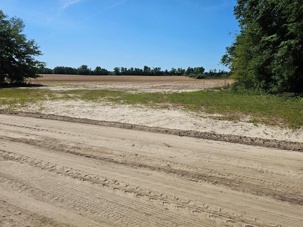 Holton Rd, Gordon, AL 36343 | MLS# 197096 | Trulia