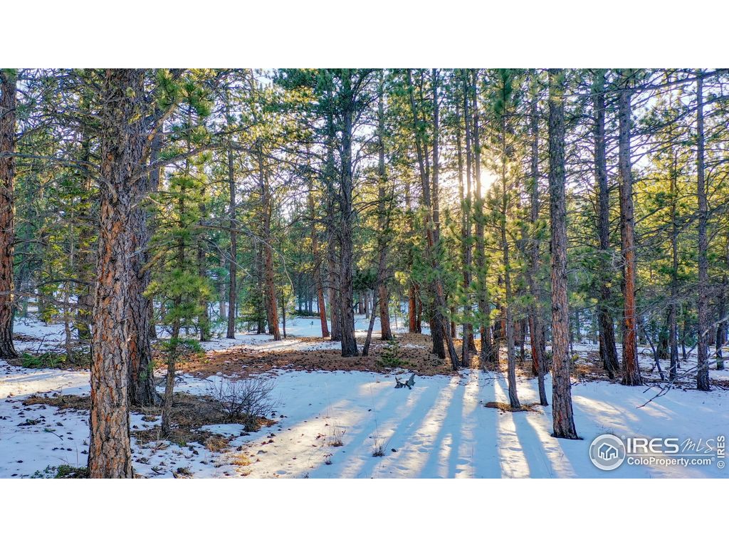 357 Big John Rd, Lyons, CO 80540 Trulia