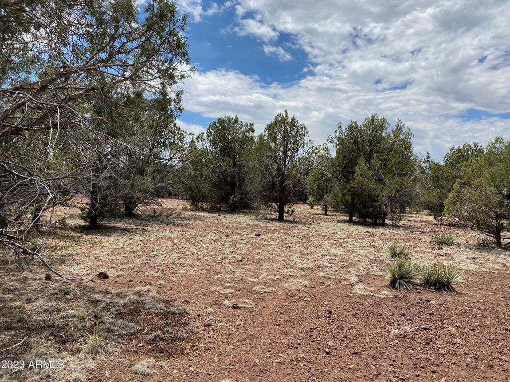 407 W Mesa Dr 22, Ash Fork, AZ 86320 Trulia