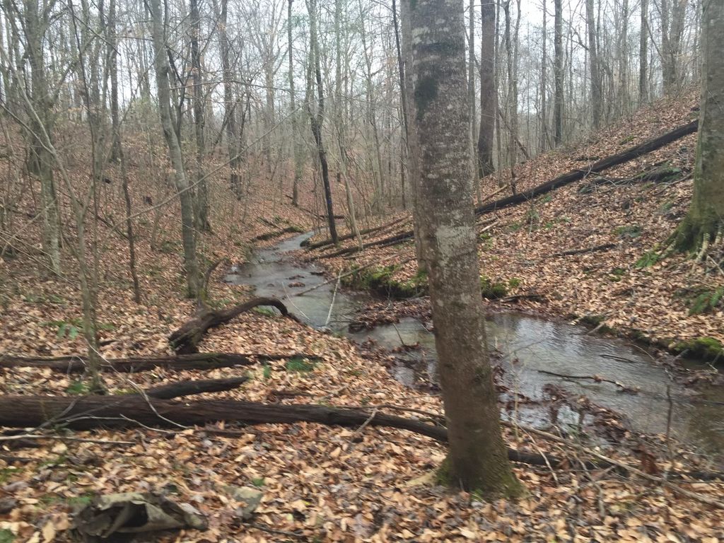 Lexington Rd, Loretto, TN 38469 Trulia