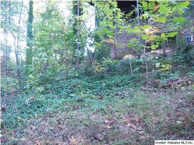 homes for sale south shades crest road