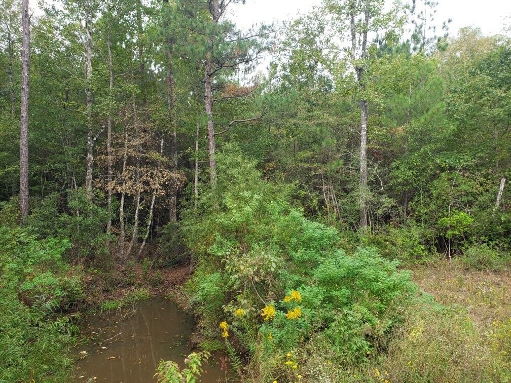 255 W County Road 23, Jasper, TX 75951 MLS 208896 Trulia