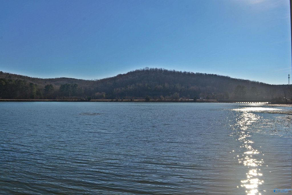 4 White Elephant Rd, Grant, AL 35747 MLS 1833820 Trulia