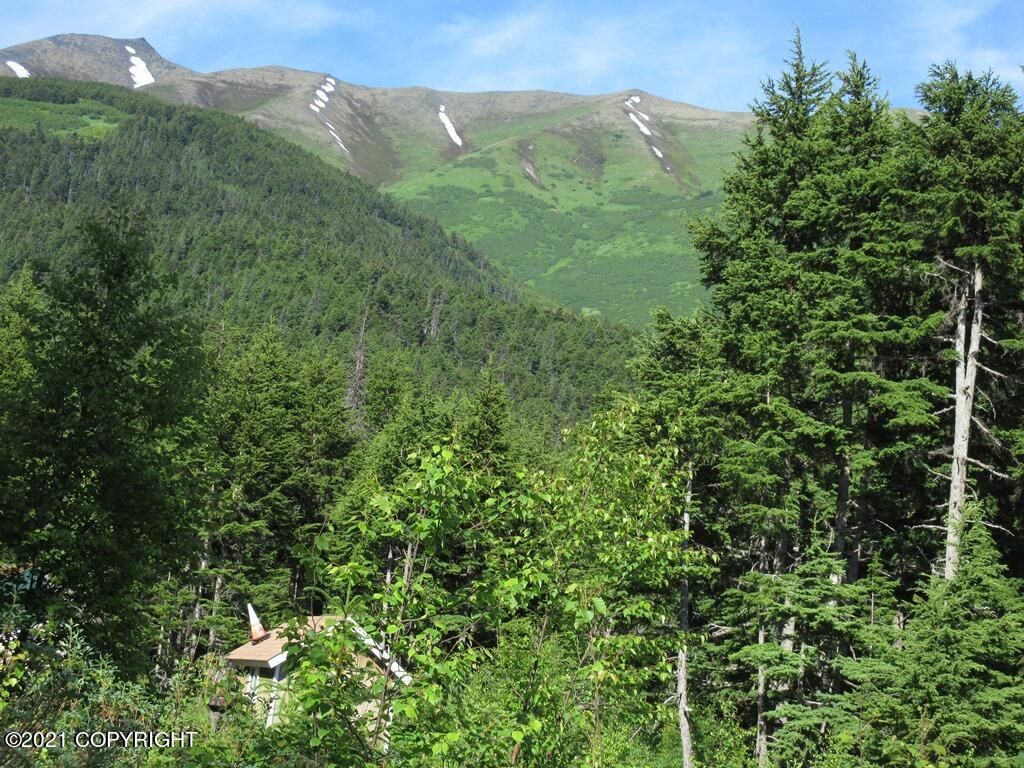 27885 Hope Hwy, Hope, AK 99605 Trulia