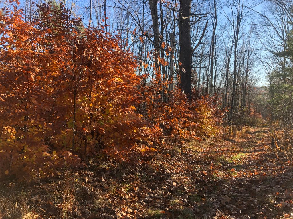 Lot B 520 Old County (AKA Bog) Road Lot 20, Dresden, ME 04342 MLS