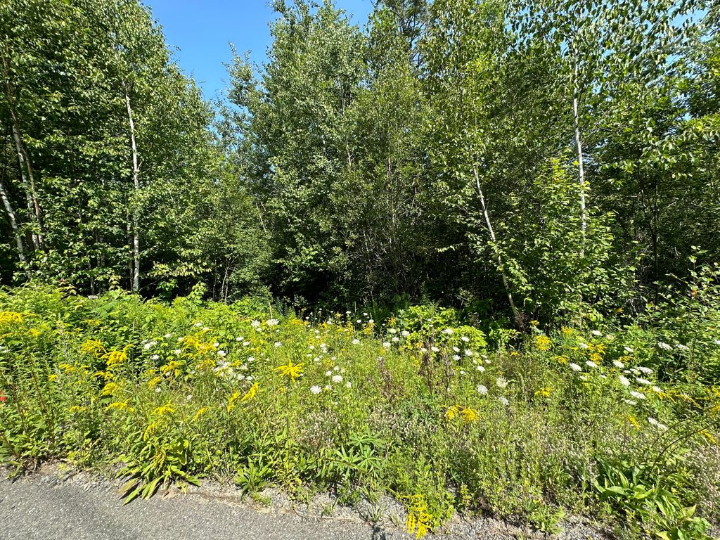 11 Bowling Green Lane, Belfast, ME 04915 MLS 1567848 Trulia