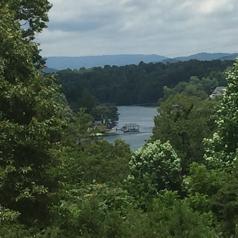 1875 Morewood Rd, Hardy, VA 24101 Trulia