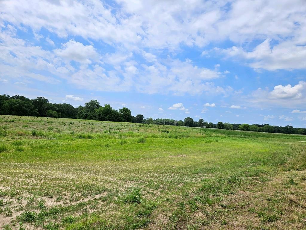 County Road 9, Headland, AL 36345 MLS 197827 Trulia