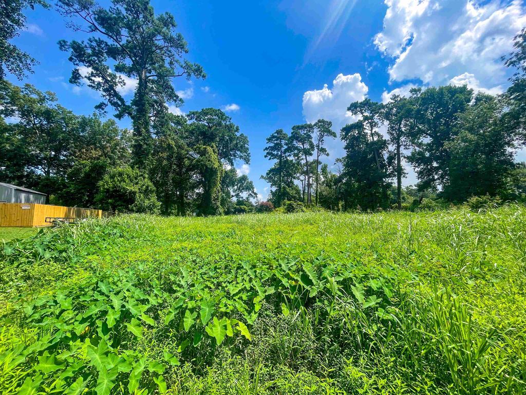 910 Redoak St, Vidor, TX 77662