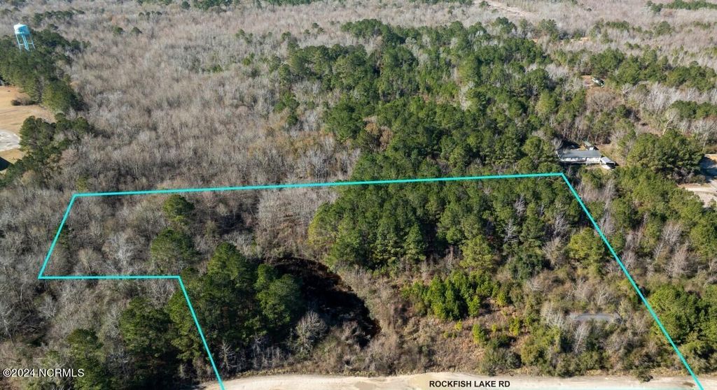 91 Rockfish Lake Road, Maple Hill, NC 28454 Lot/Land for Sale MLS 100430602