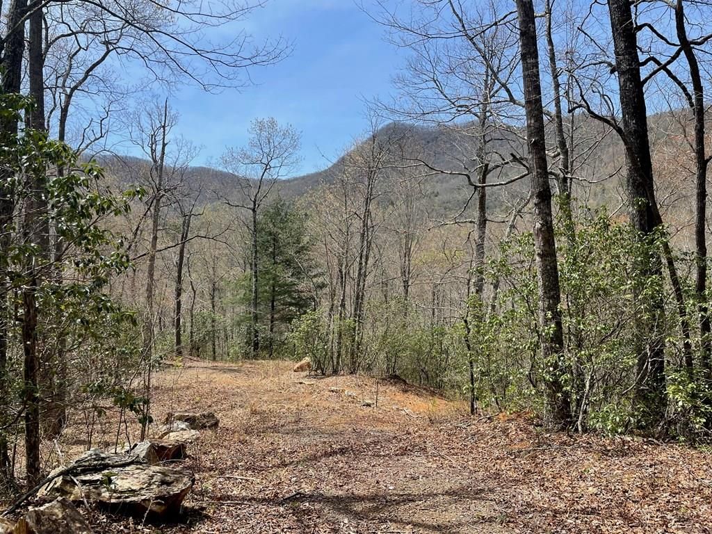 Big Oak Springs Rd, Sylva, NC 28779 Trulia