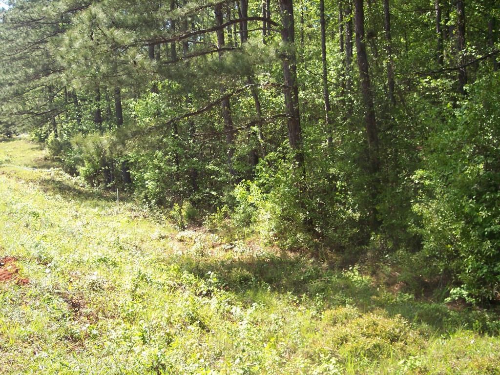 Johnson Mill Rd, Hamilton, GA 31811 Trulia