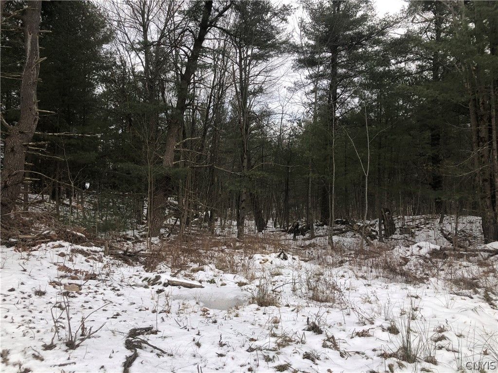 McMahon Rd, Redwood, NY 13679 Trulia