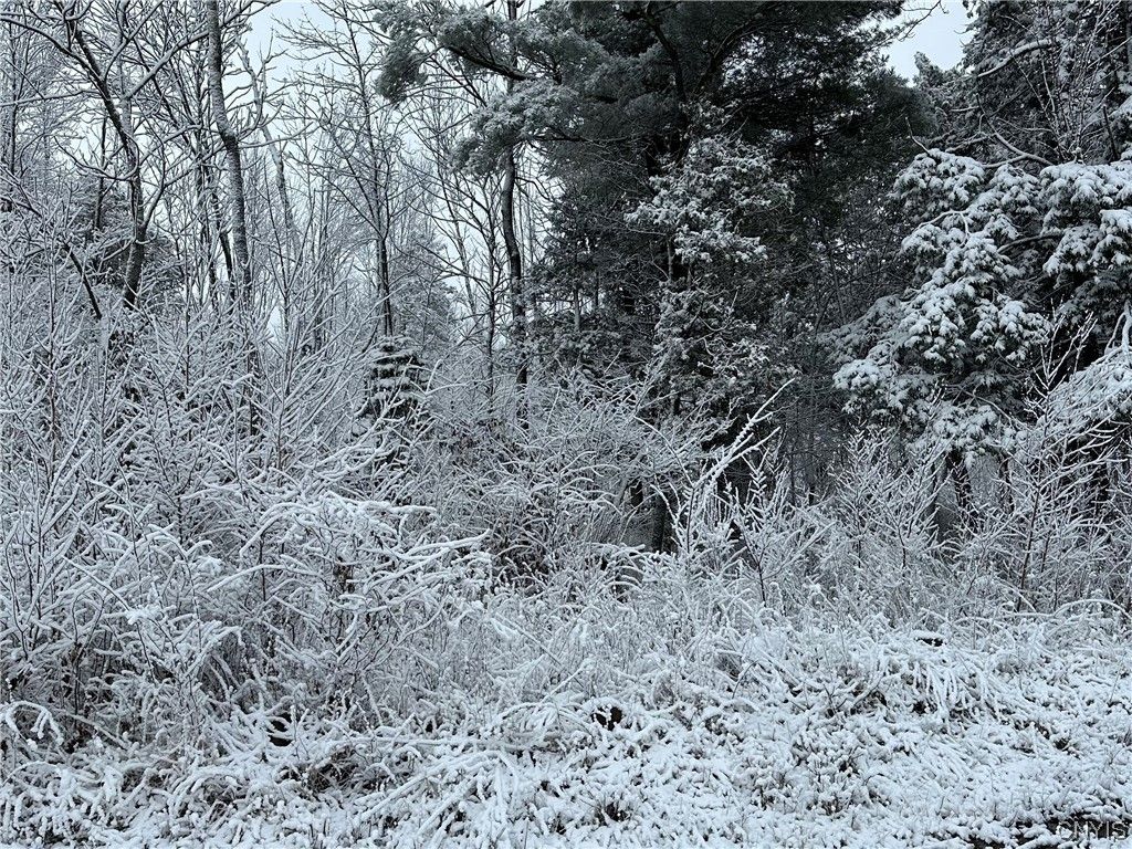 Fisk Rd 47, Nicholville, NY 12965 MLS S1514744 Trulia