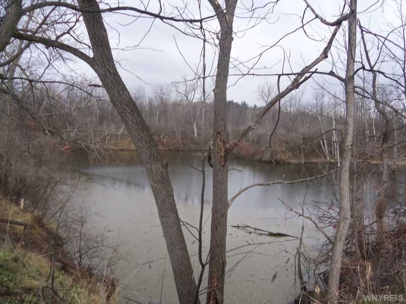 E State St, Albion, NY 14411 Trulia