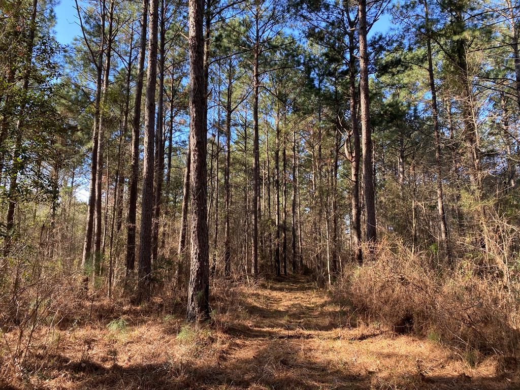 5561 Highway 98 E, Meadville, MS 39653 Trulia