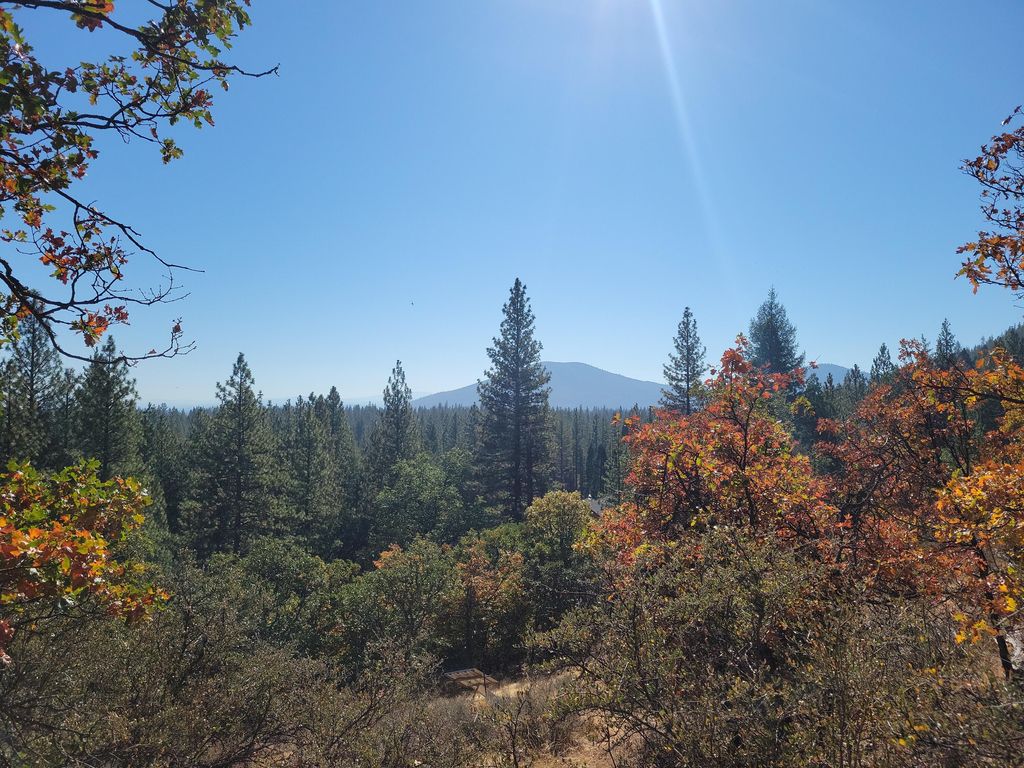 27358 Masac Ln, Fall River Mills, CA 96028 Trulia