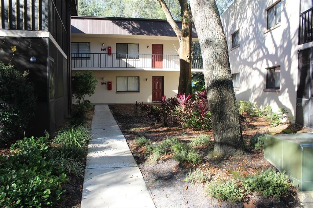 Tampa, FL Trulia