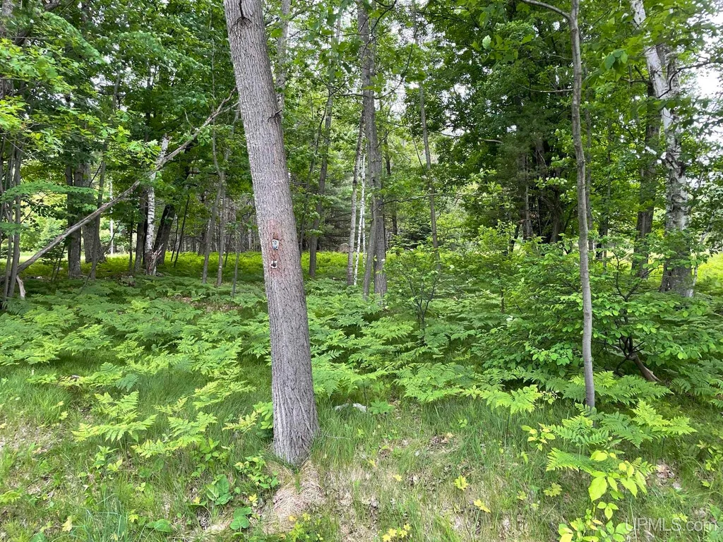 N3773 Quinnesec Lake Antoine Rd, Iron Mountain, MI 49801 | MLS N3773 Quinnesec Lake Antoine Rd, Iron Mountain, MI 49801 | MLS
