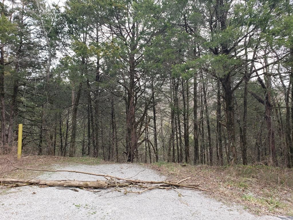 316AC Austin Bottom Rd, Baxter, TN 38544 Trulia