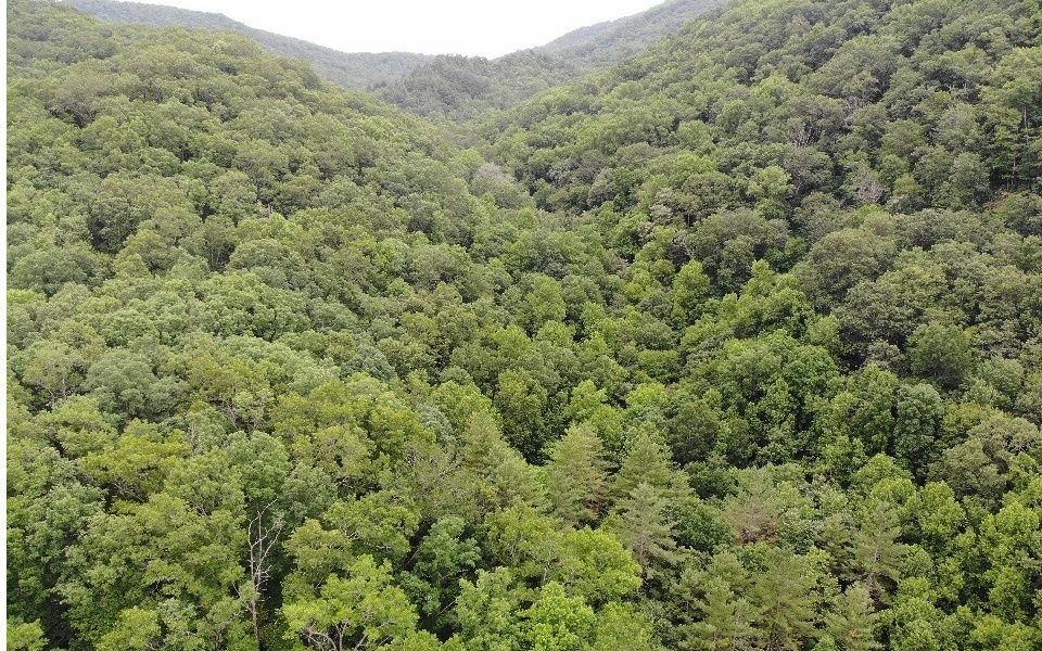 8078 Upper Hightower Rd, Hiawassee, GA 30546 Trulia