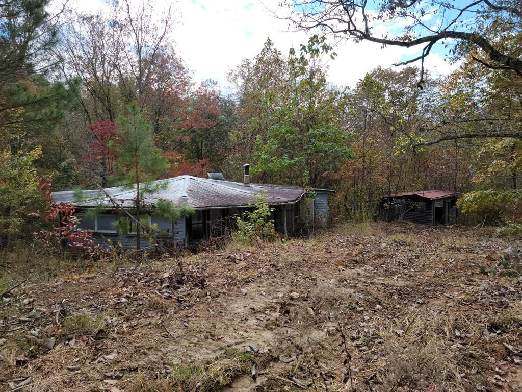 117 Chinkapin Cv, Sugar Tree, TN 38380 See Est. Value, Schools & More