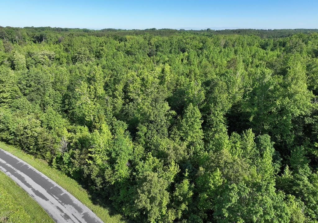 Ashcake Creek Rd, Scottsburg, VA 24589 Trulia