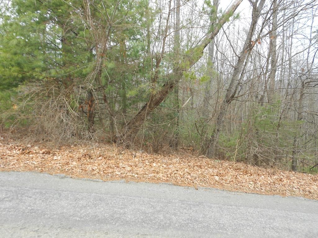 Lot 1 Little Rock Rd, Cana, VA 24317 Trulia