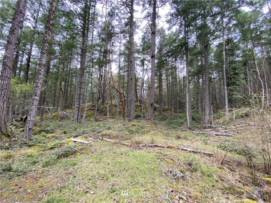 15 Hyak Lane Lot Parcel A, Friday Harbor, WA 98250 Trulia