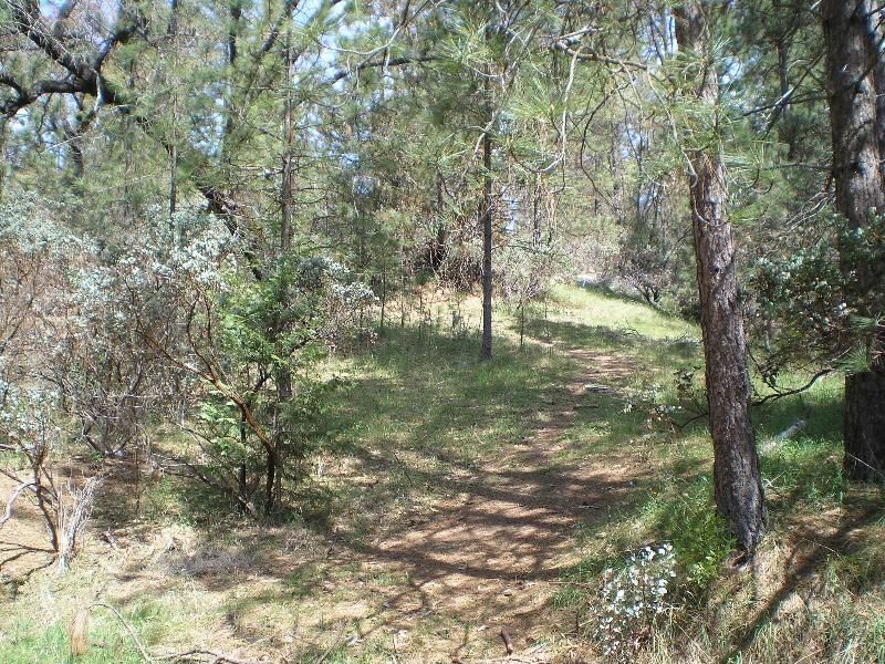 36228 Toku Poyah, North Fork, CA 93643 Trulia