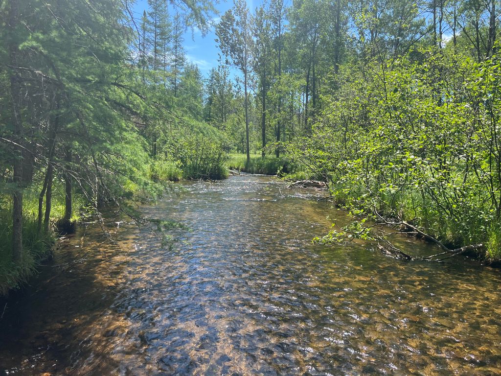 Low Road Lovells, Grayling, MI 49738 Trulia