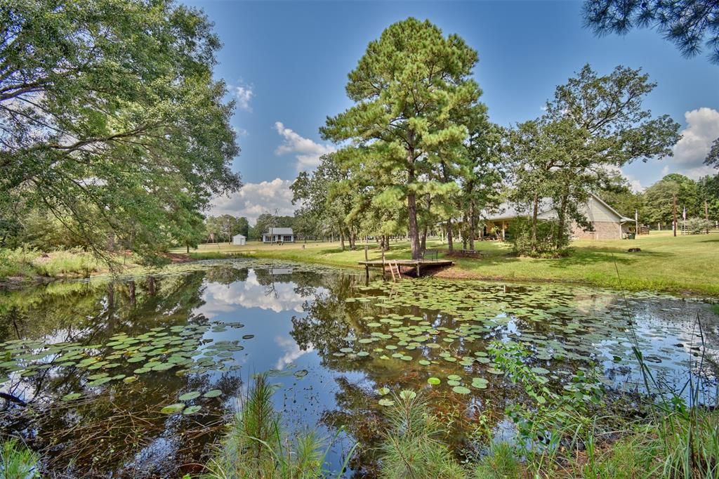 1047 Abel Rd, New Ulm, TX 78950