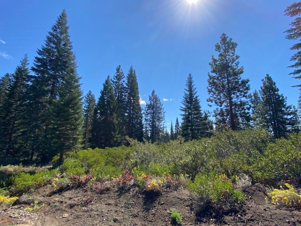 4E24 Ridge Dr, McCloud, CA 96057 MLS 20221207 Trulia