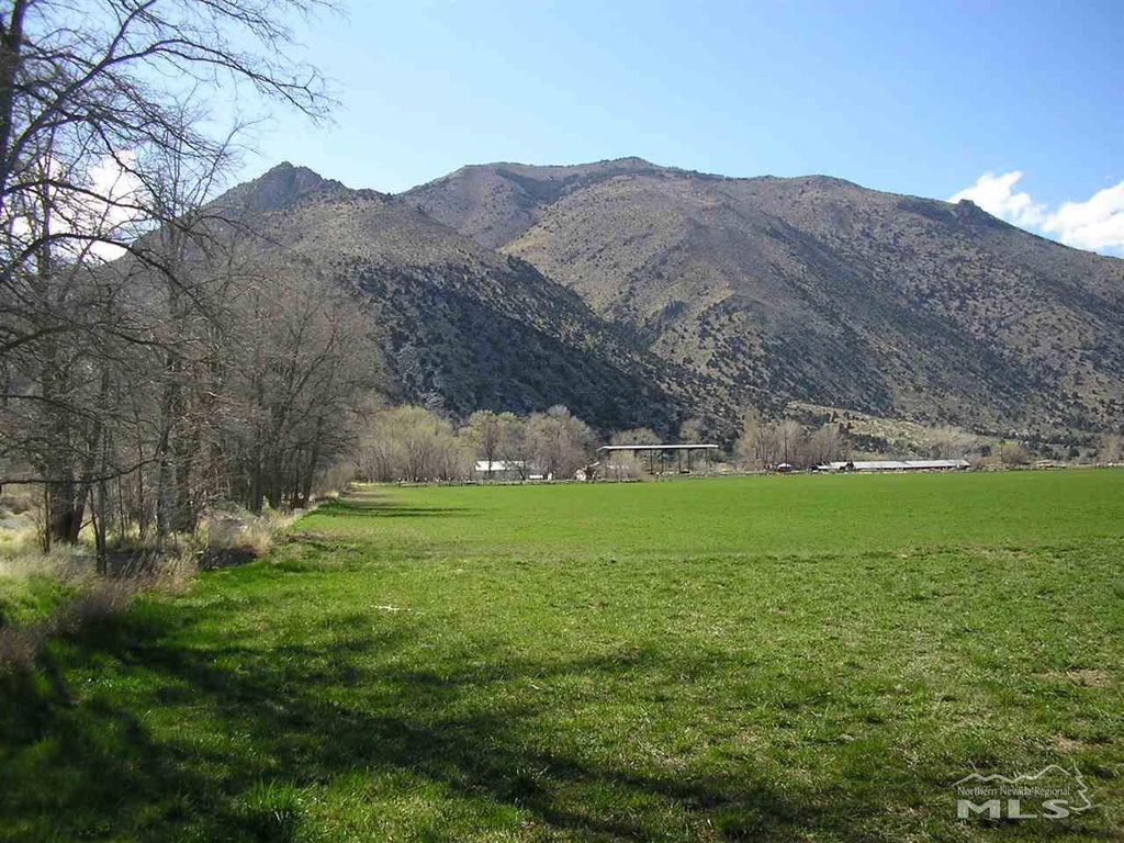 42 Wedertz Ln, Wellington, NV 89444